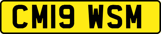 CM19WSM