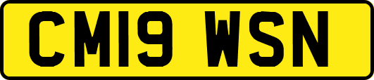 CM19WSN