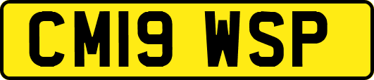 CM19WSP