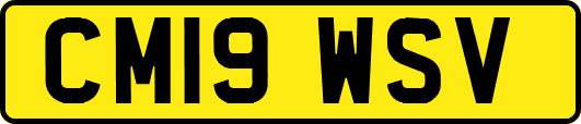 CM19WSV