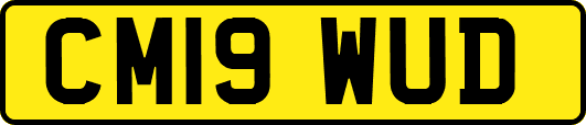 CM19WUD