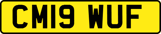 CM19WUF