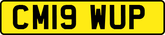 CM19WUP