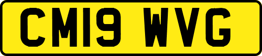 CM19WVG