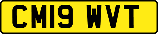 CM19WVT