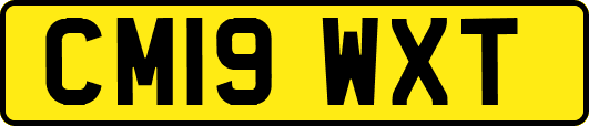 CM19WXT