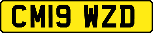 CM19WZD