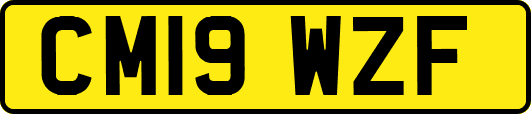 CM19WZF