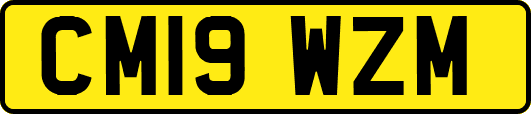 CM19WZM