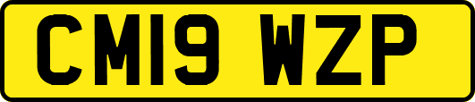 CM19WZP