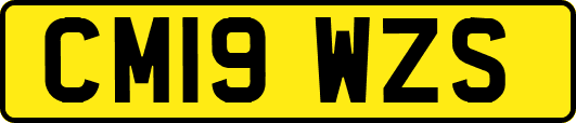 CM19WZS