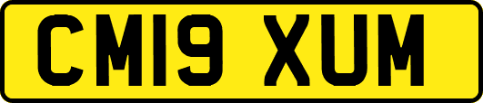 CM19XUM