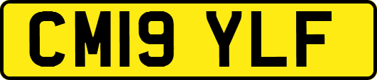 CM19YLF