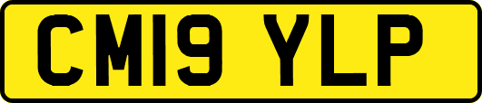 CM19YLP