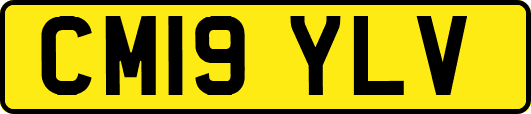 CM19YLV