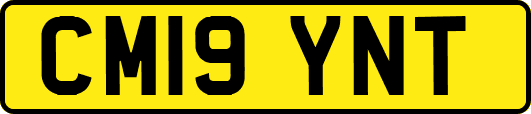 CM19YNT
