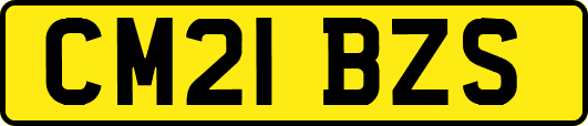 CM21BZS