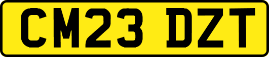 CM23DZT
