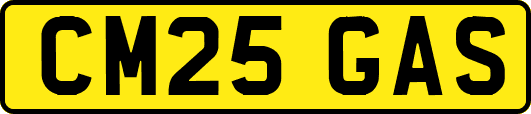 CM25GAS