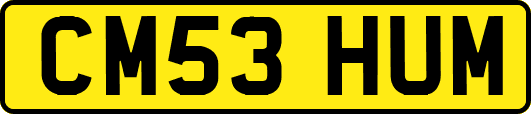 CM53HUM