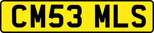 CM53MLS