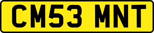 CM53MNT