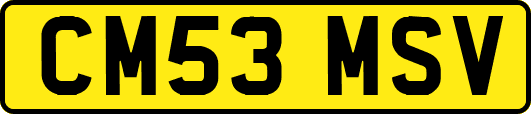 CM53MSV