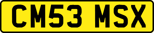 CM53MSX
