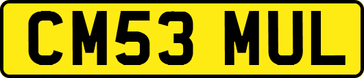 CM53MUL