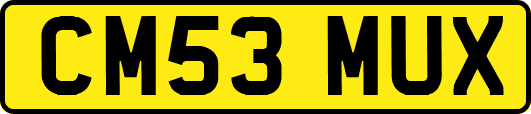 CM53MUX