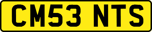 CM53NTS