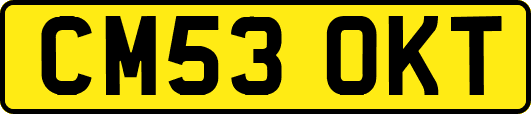 CM53OKT