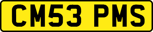 CM53PMS