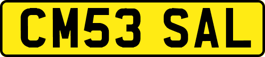 CM53SAL