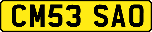 CM53SAO