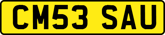 CM53SAU