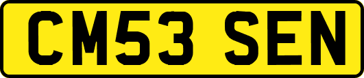 CM53SEN