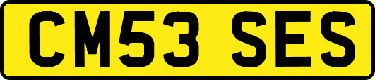 CM53SES