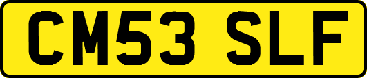 CM53SLF