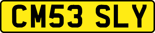 CM53SLY