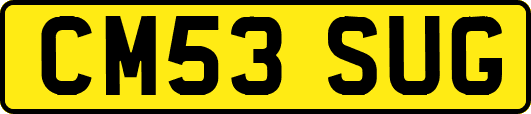 CM53SUG