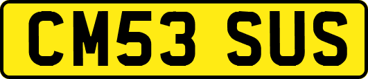 CM53SUS