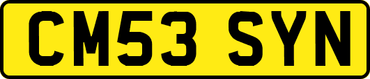 CM53SYN