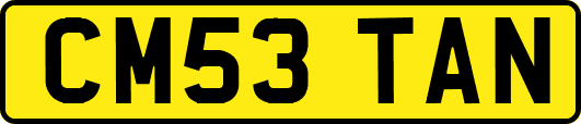 CM53TAN
