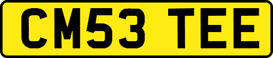 CM53TEE