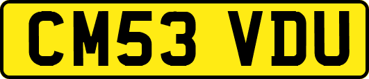 CM53VDU