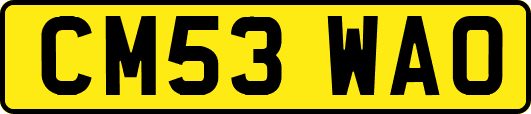CM53WAO