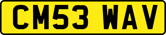 CM53WAV