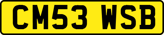 CM53WSB