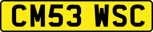 CM53WSC